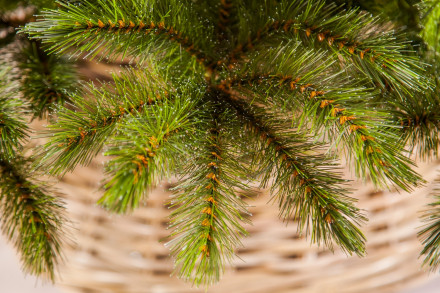 Искусственная елка Лесная Красавица 365 см зеленая