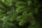 Искусственная елка Ева 185 см Резина+ПВХ Царь Елка